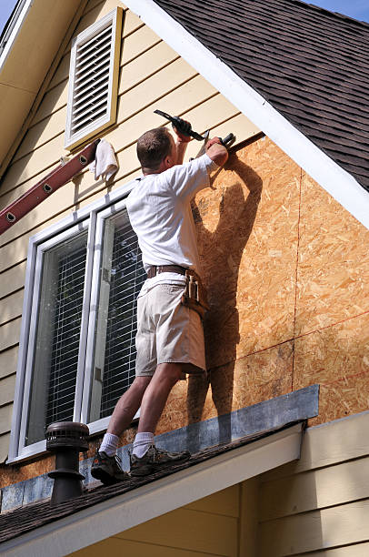 Best Brick Veneer Siding  in Buhl, ID